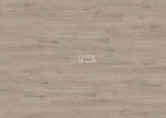 Ламинат Haro Tritty 200 Aqua 4V ДУБ ВЕНЕТО МОККА 537373 фото 1 | FLOORDEALER